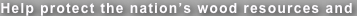 shapeimage_7_link_0